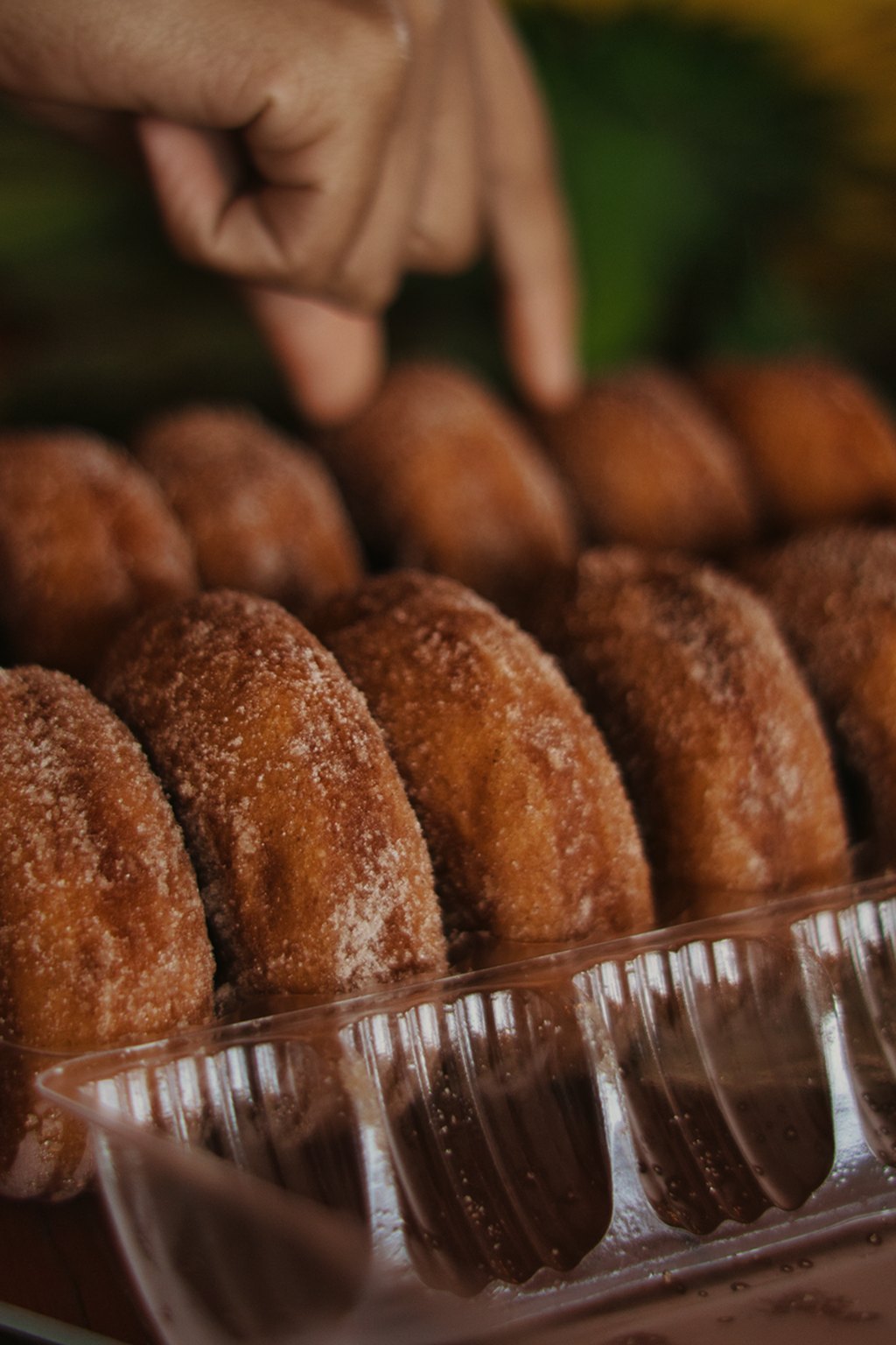 Apple Cider Donuts