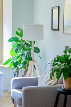 21 Things That Instantly Make a Space Feel Calmer