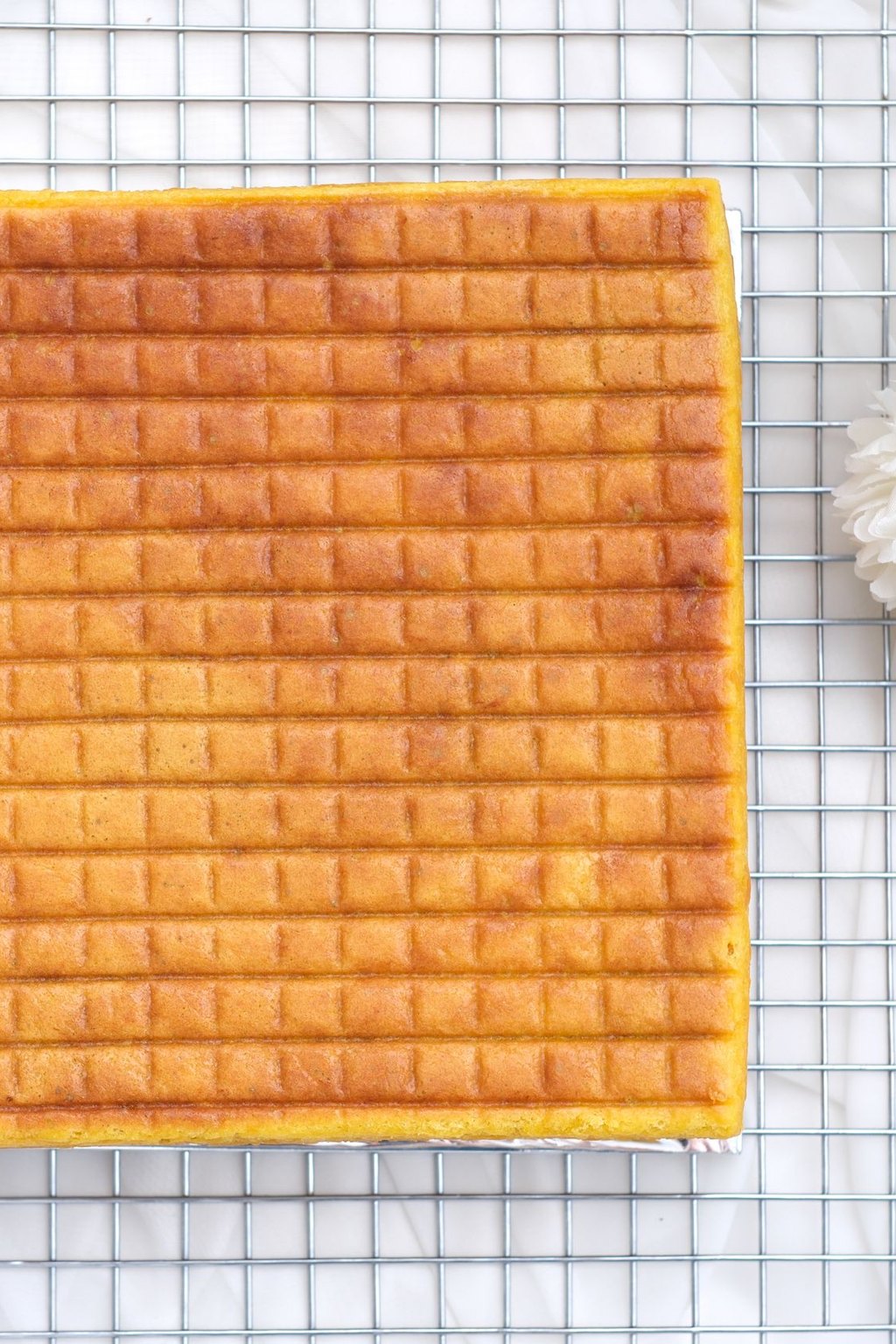 Pumpkin Bars with Cream Cheese Frosting