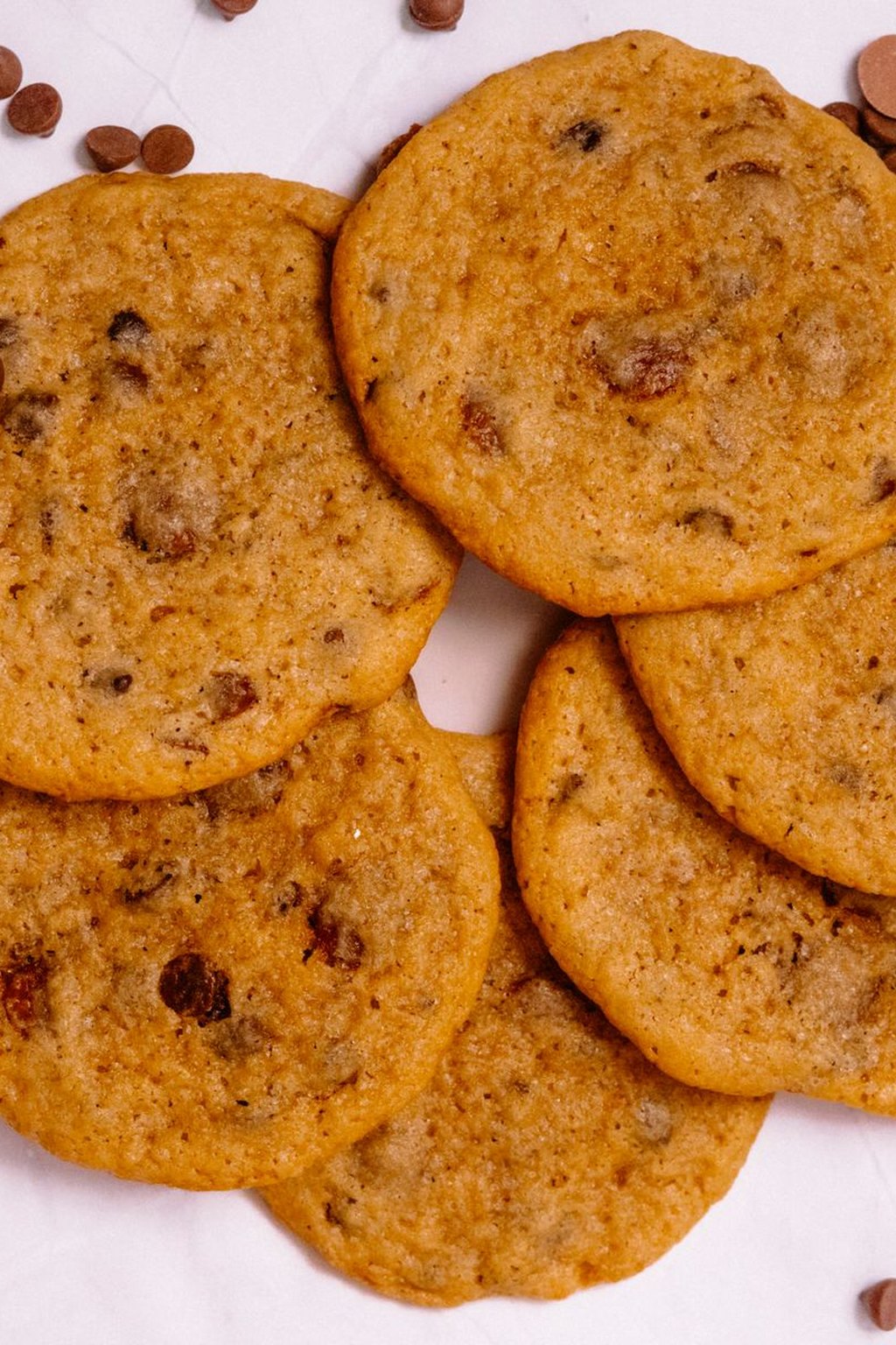 Pumpkin Chocolate Chip Cookies