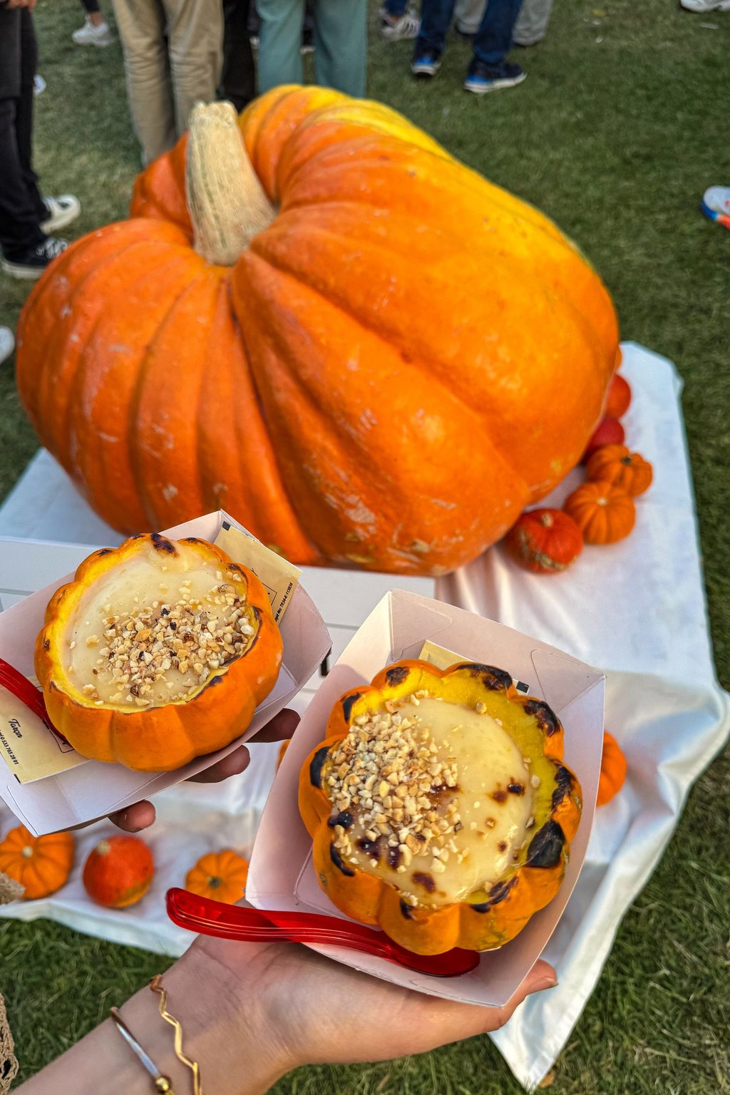 Pumpkin Creme Brulee