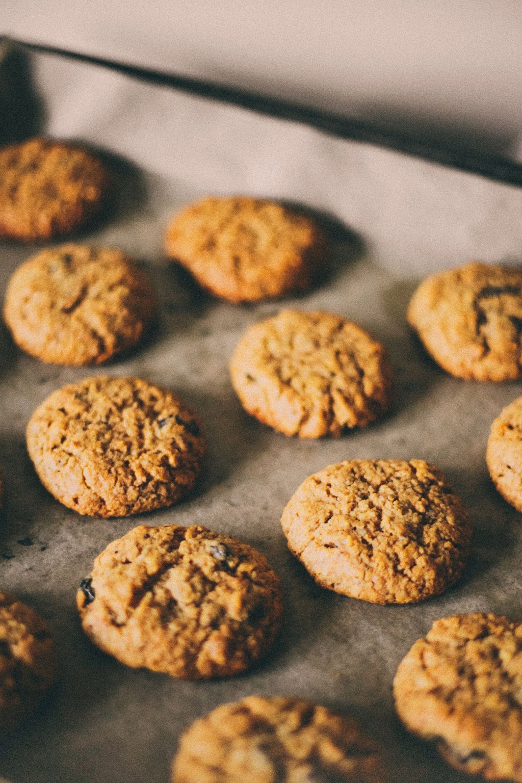Pumpkin Oatmeal Cookies